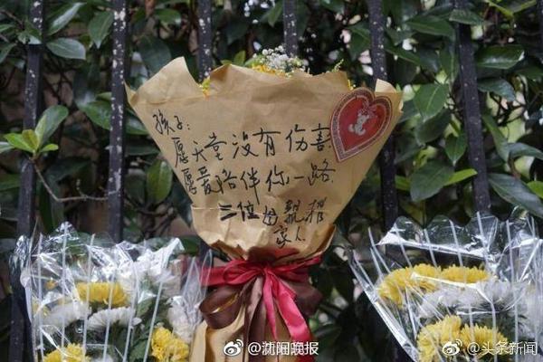 76人队记：尽量少拿杨瀚森和约基奇对比 后者是顶级的预判型球员